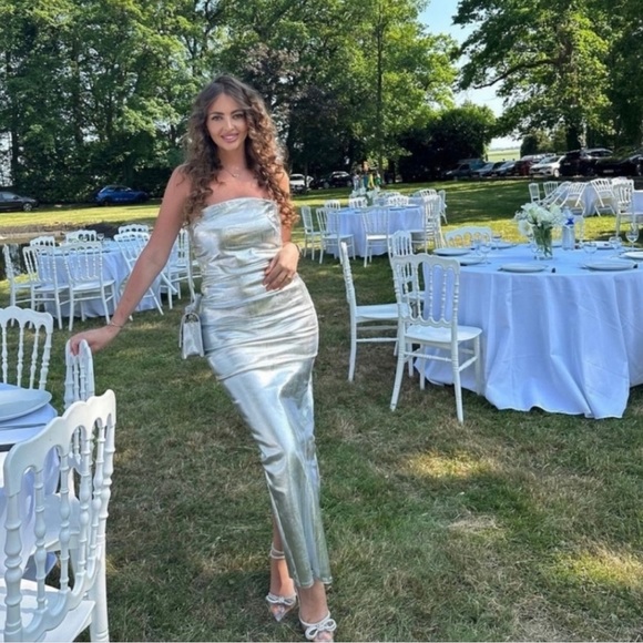 ZARA Bloggers Fav Metallic Dress - Picture 4 of 17